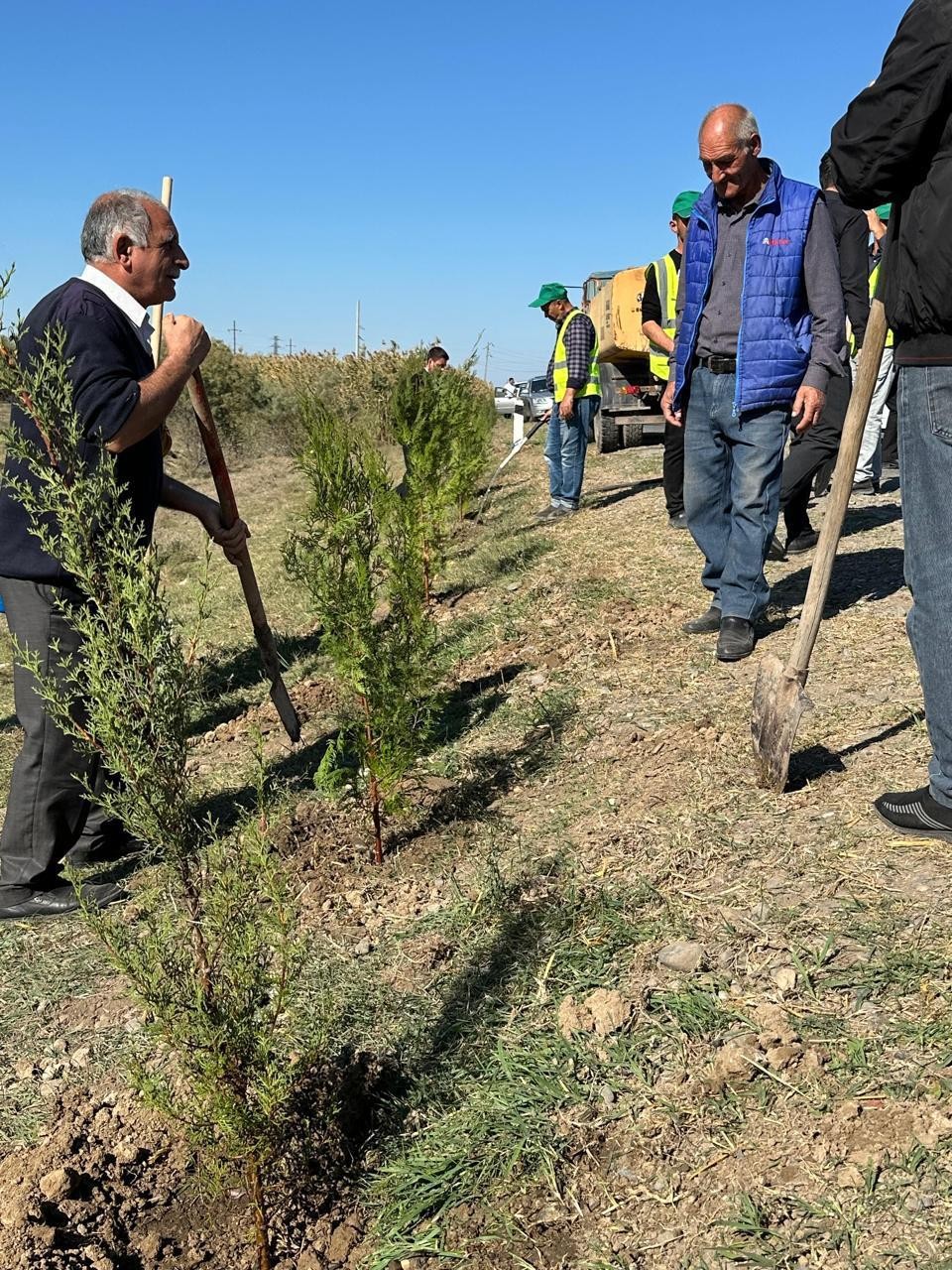 Beyləqanda növbəti ağacəkmə aksiyası keçirilib - FOTOLAR